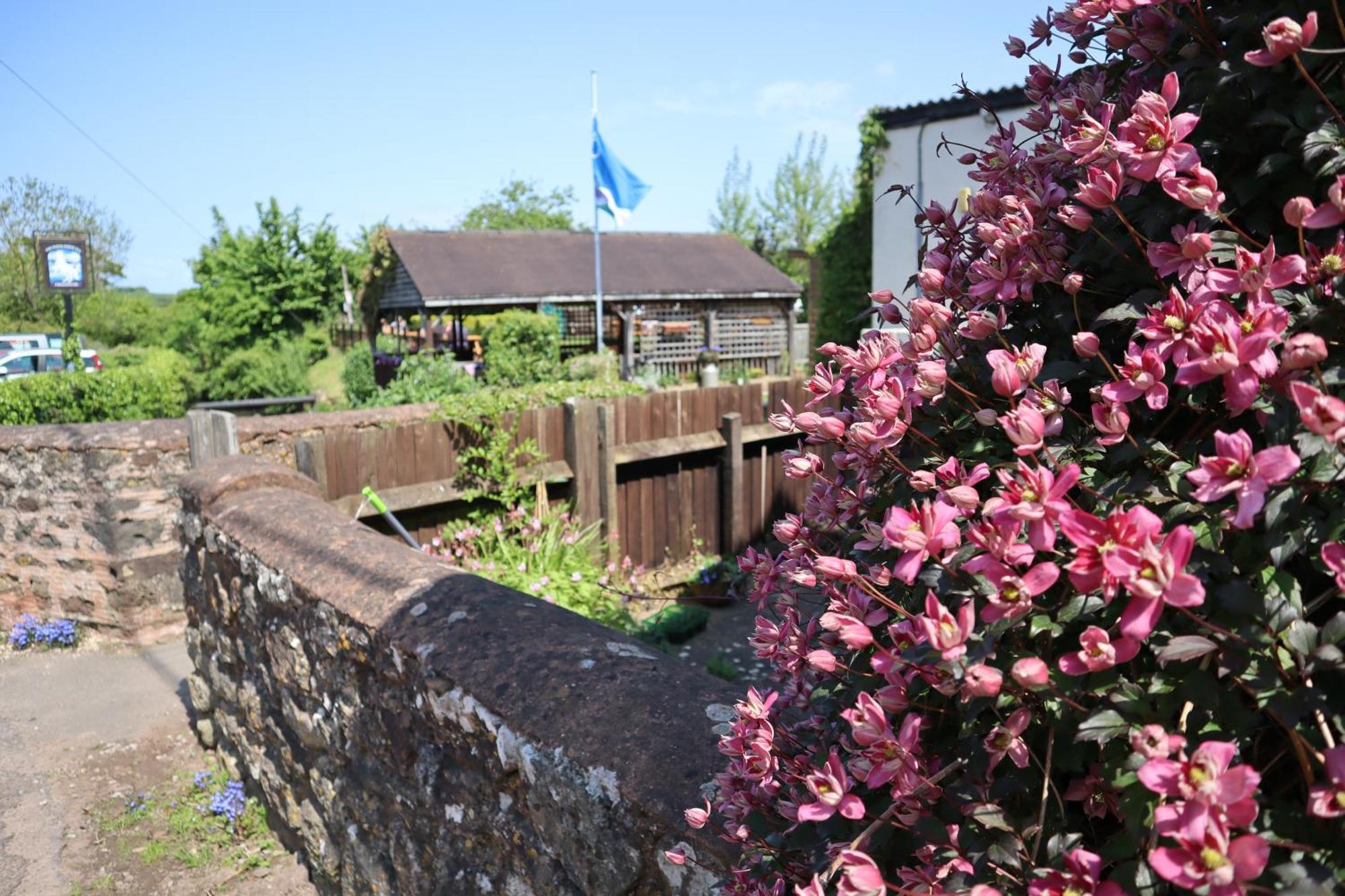The White Horse Inn Washford Exteriör bild